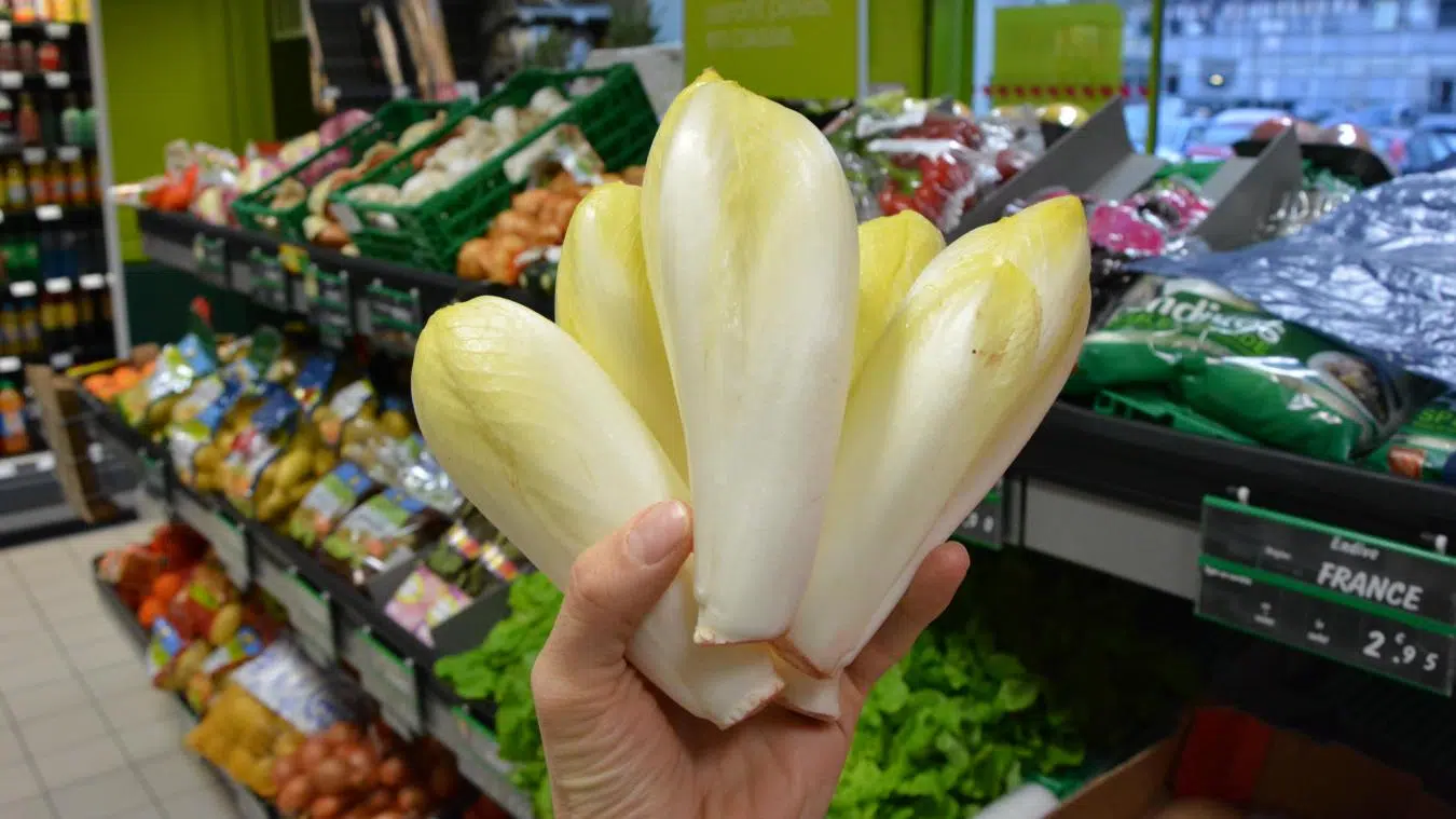 Les endives dans les rayons d'un supermarché